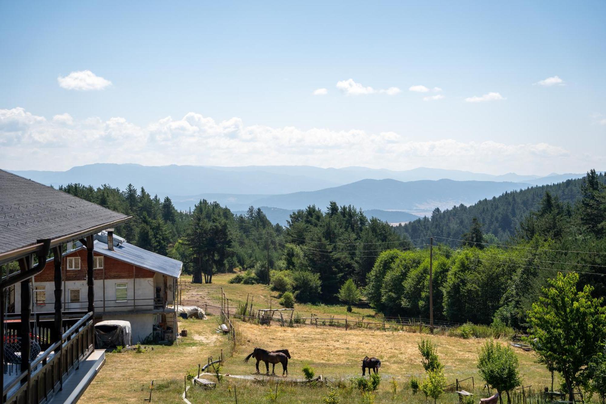 Rusaliite Adventure House Бачево Екстер'єр фото