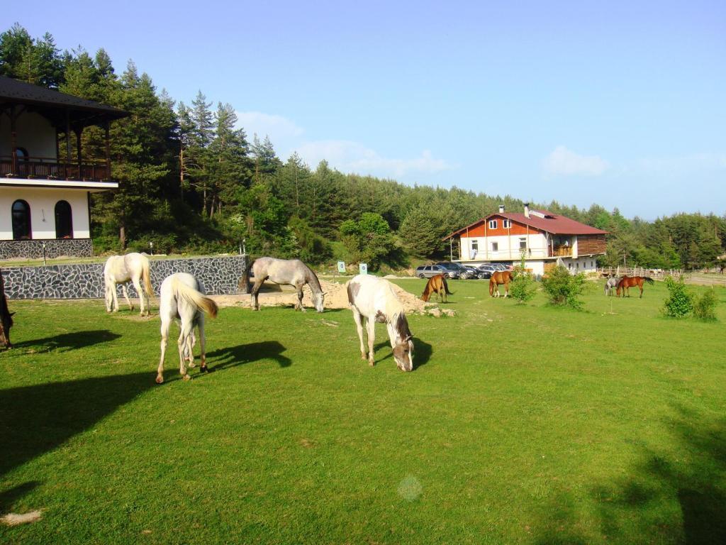 Rusaliite Adventure House Бачево Екстер'єр фото