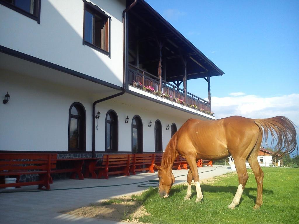 Rusaliite Adventure House Бачево Екстер'єр фото